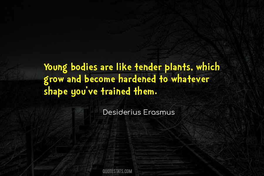 Shape You Quotes #588693