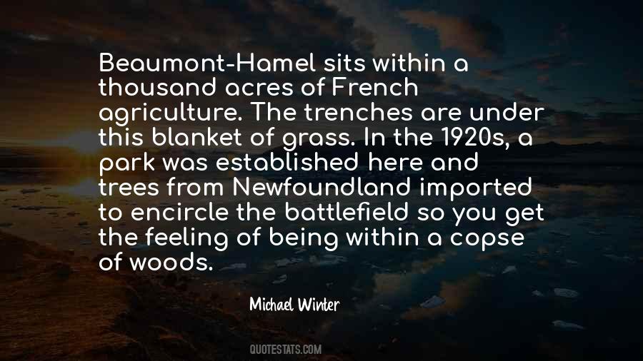 Quotes About Being In The Woods #293117