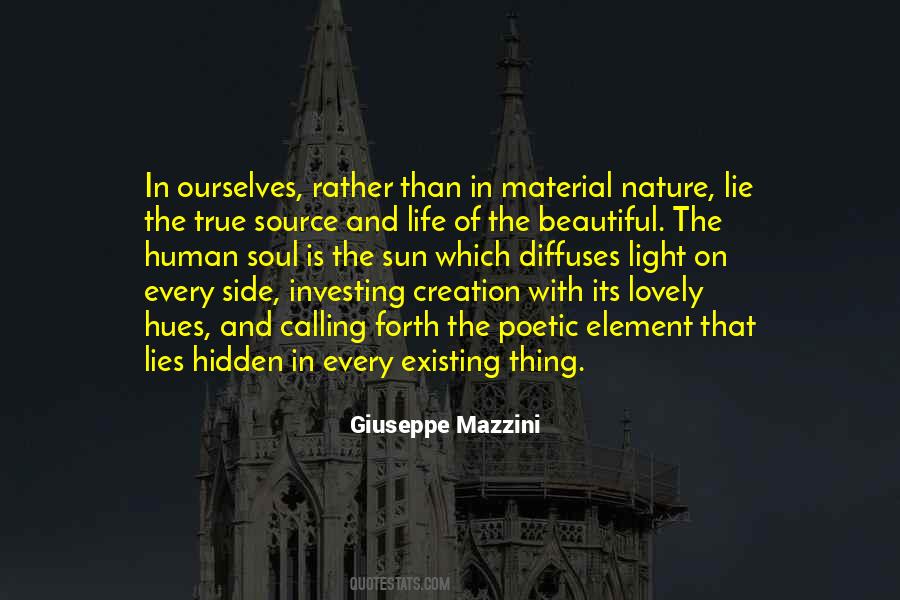 Quotes About The True Beauty Of Life #81363