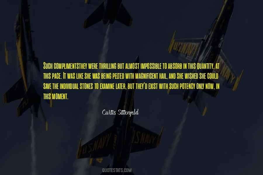 Love This Moment Quotes #313443