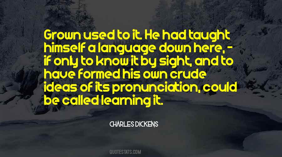 Quotes About Crude Language #735324