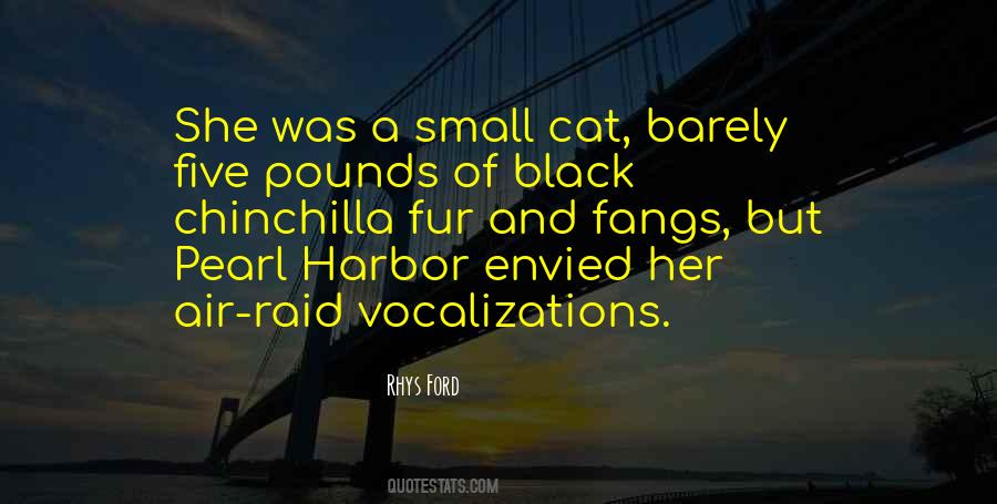 S Y Black Pearl Quotes #1628266