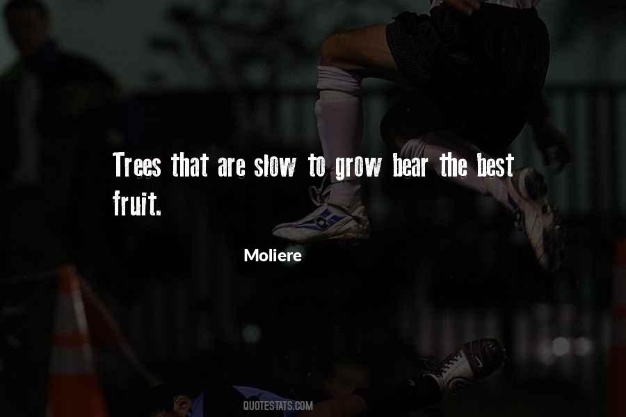 Quotes About Fruit Trees #187118