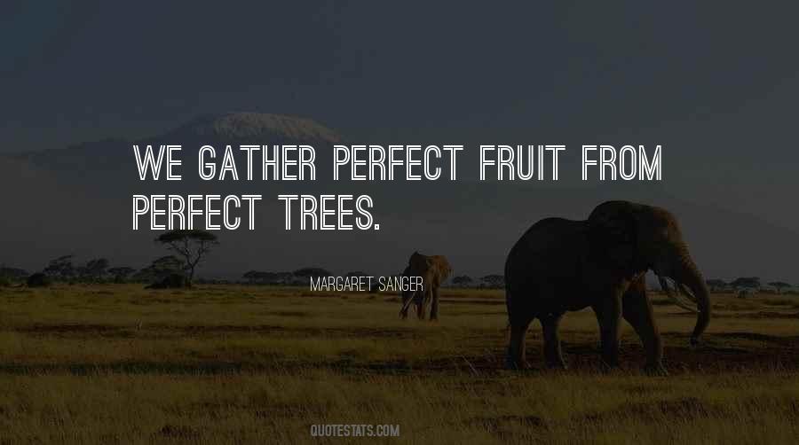 Quotes About Fruit Trees #519450