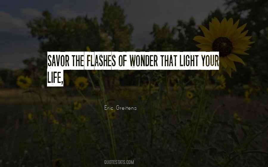 Quotes About Light Flashes #702166