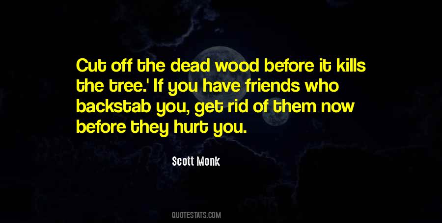 Quotes About Friends That Hurt You #265762