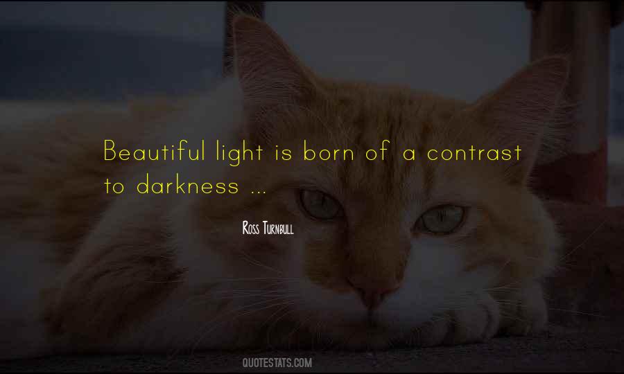 Beautiful Darkness Quotes #1004987