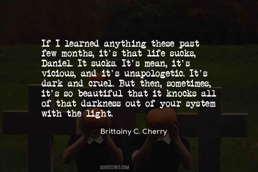 Beautiful Darkness Quotes #987936