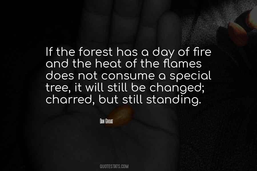 Quotes About Forest Fire #1142443