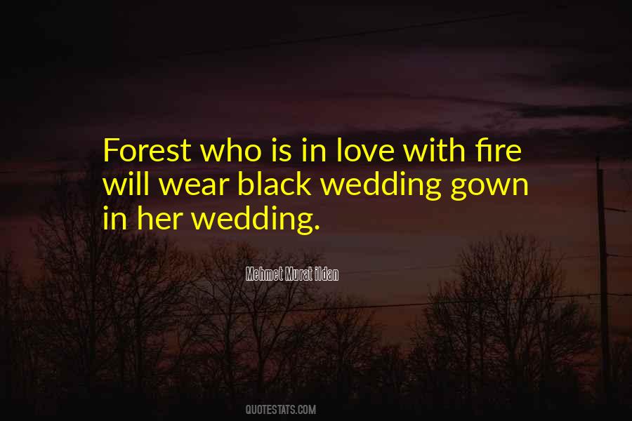 Quotes About Forest Fire #1421488