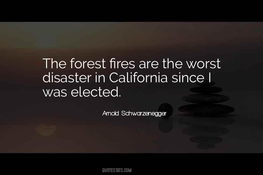 Quotes About Forest Fire #1578461