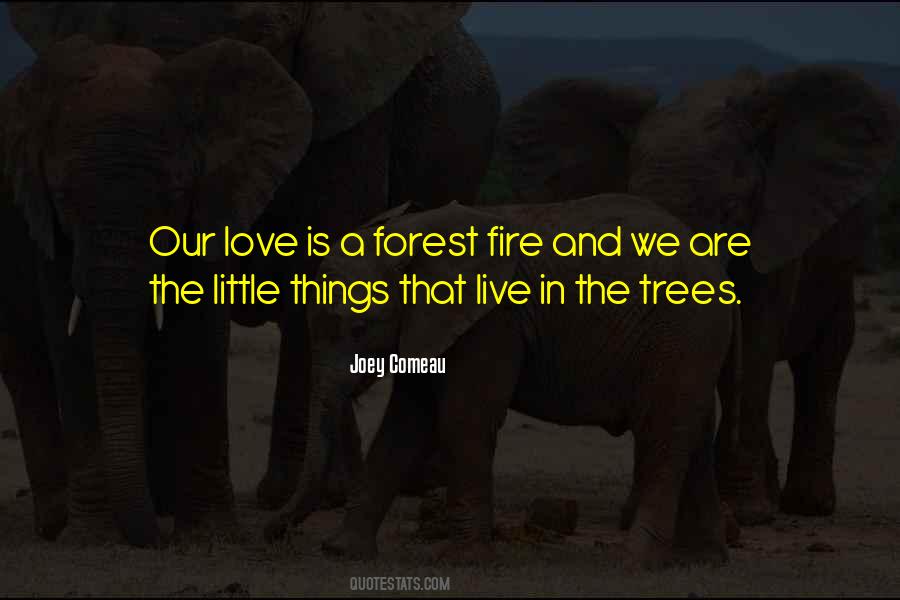 Quotes About Forest Fire #1627476