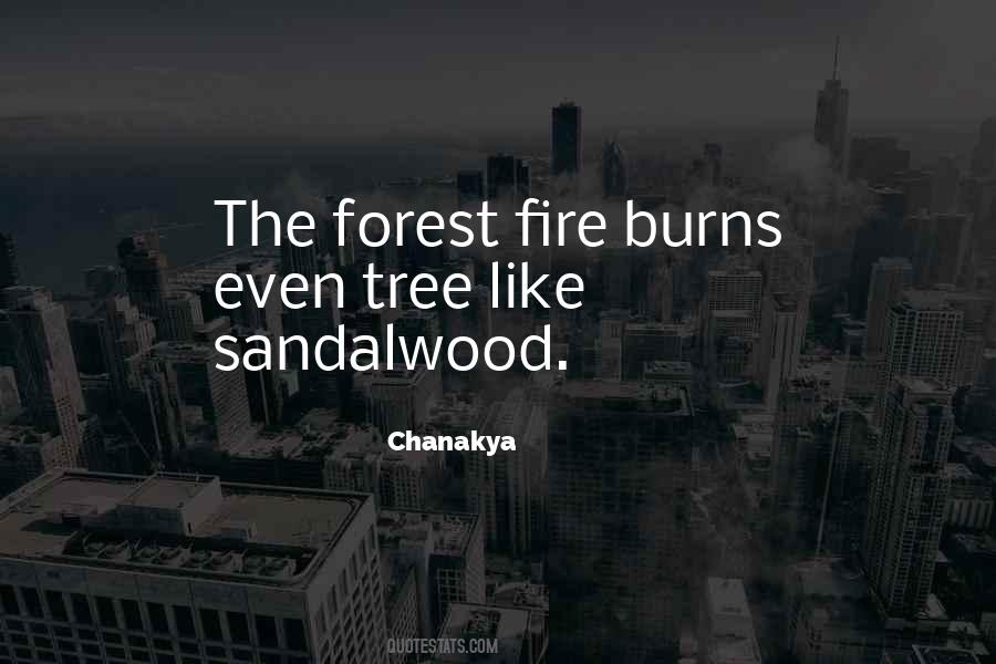 Quotes About Forest Fire #854419