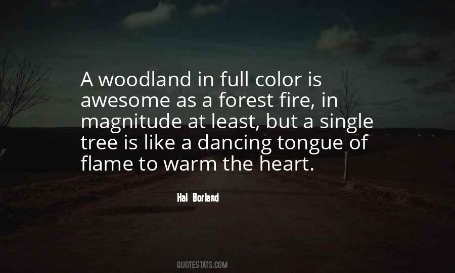 Quotes About Forest Fire #954689