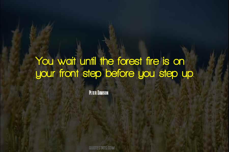 Quotes About Forest Fire #954990