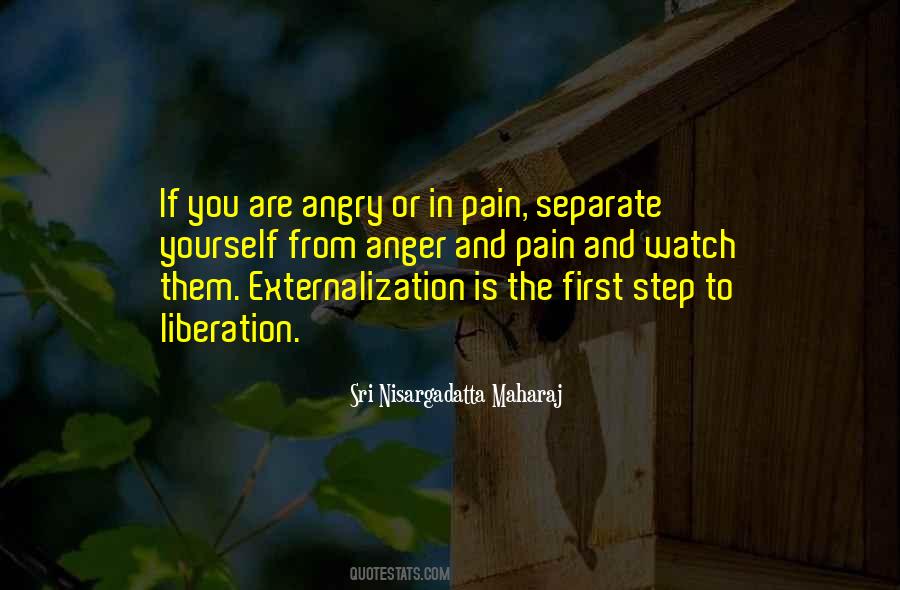 Sri Nisargadatta Quotes #146704