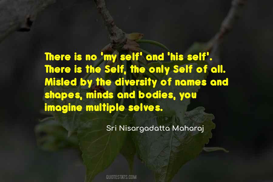 Sri Nisargadatta Quotes #545864
