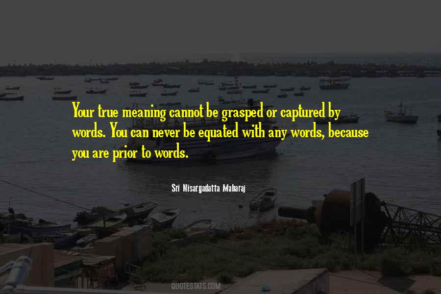 Sri Nisargadatta Quotes #559916