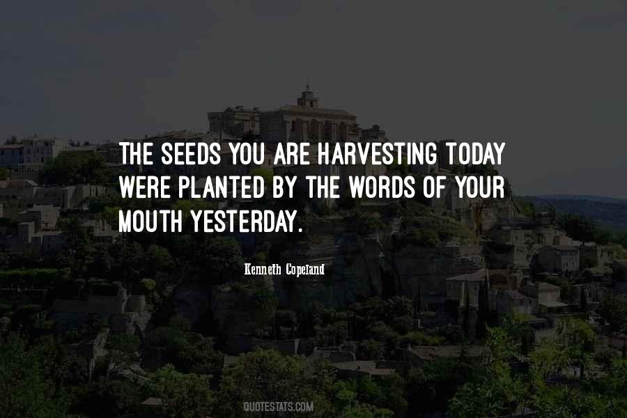 Aboriginal Cultures Quotes #1157659