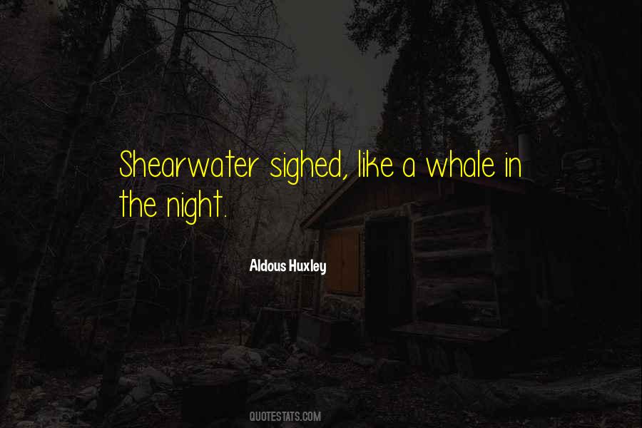 Quotes About The Ocean At Night #1719969
