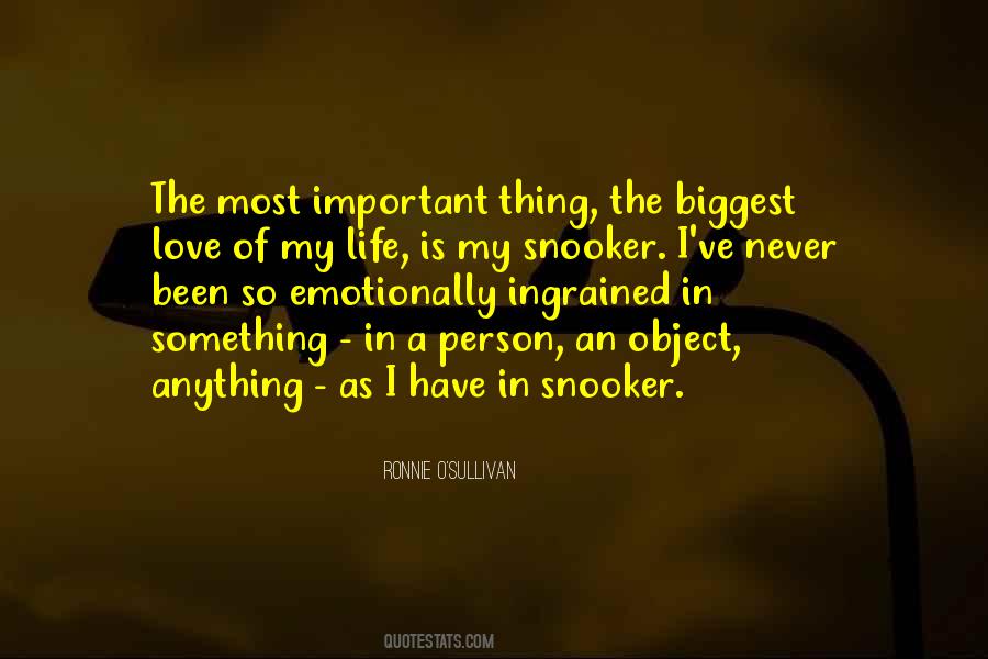 Most Important Person In My Life Quotes #698112