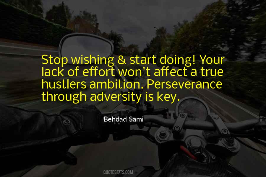 Quotes About Perseverance Through Adversity #1200337