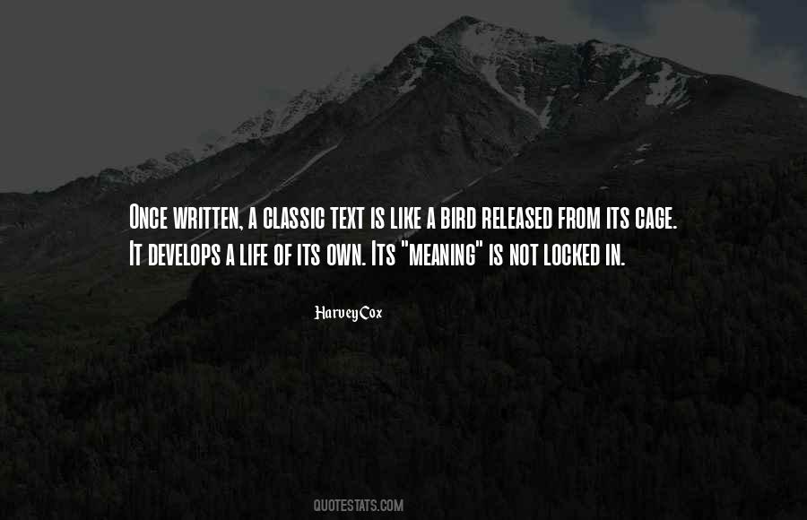 Quotes About Meaning #1870877