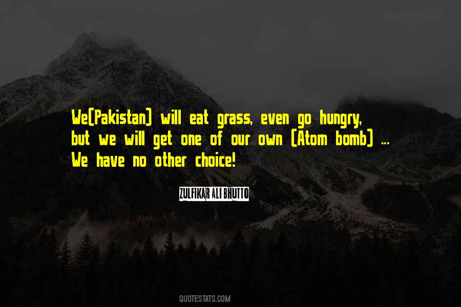 Quotes About Pakistan #1178506