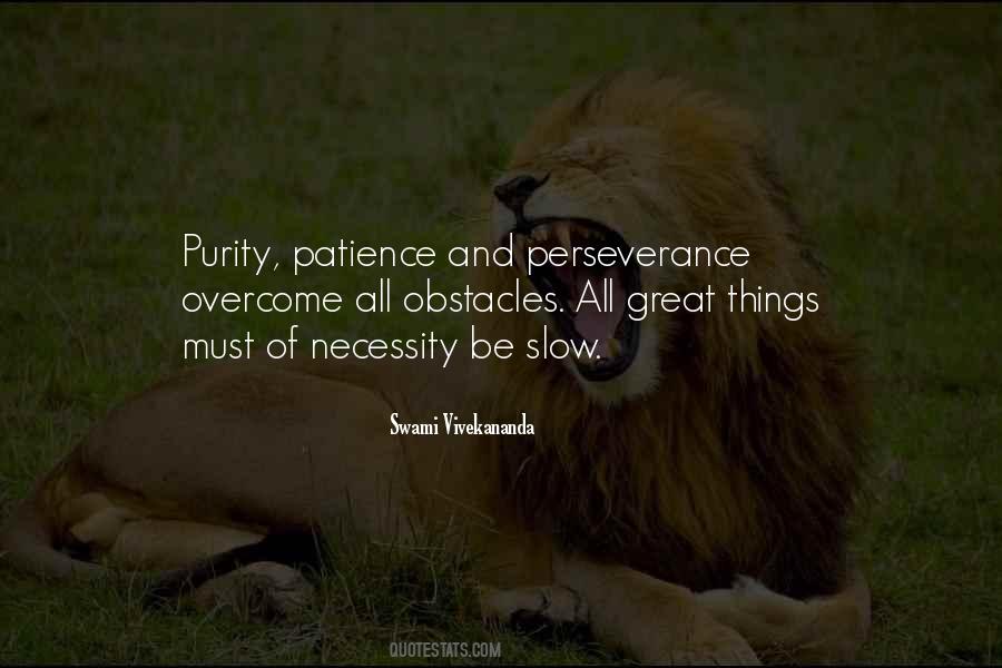 Quotes About Perseverance And Patience #1350330