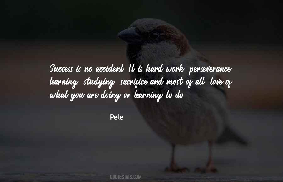 Quotes About Perseverance And Hard Work #836704