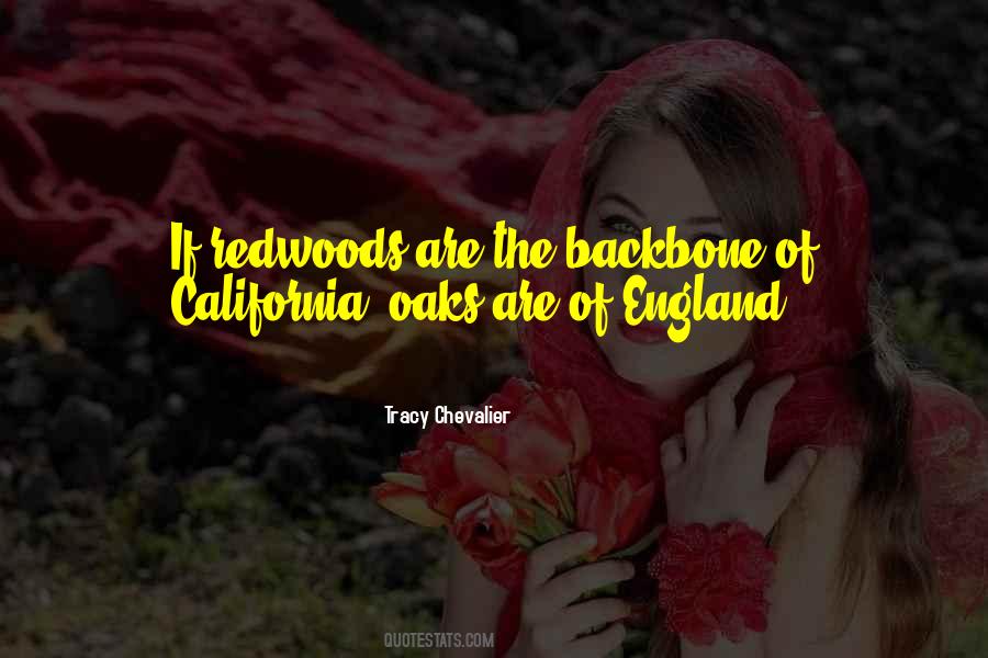 Quotes About Redwoods #887914
