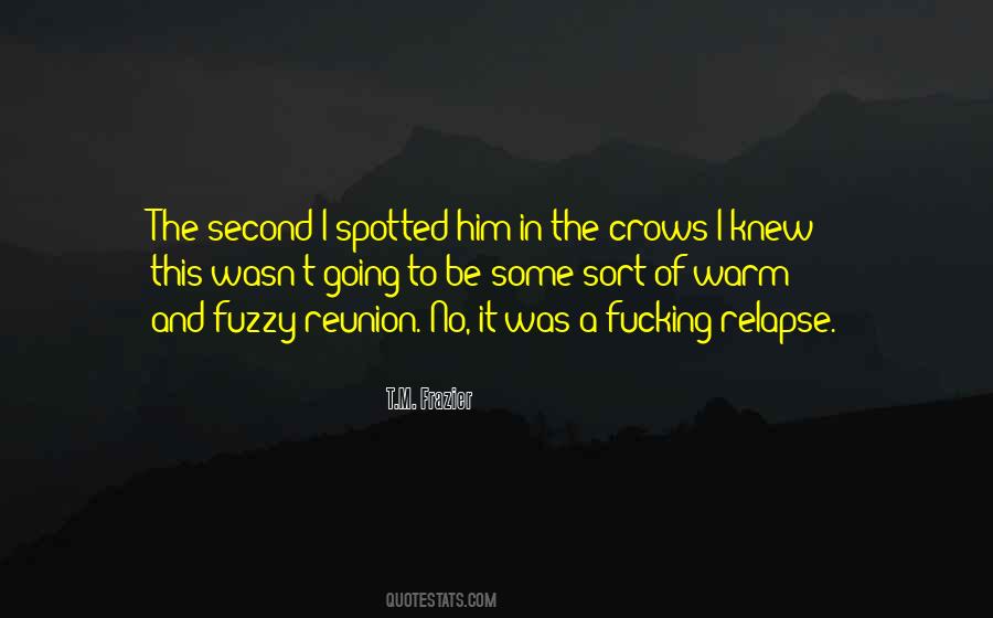 Quotes About Almost Lovers #1542640