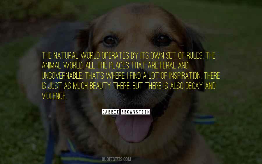 Set Of Rules Quotes #1651309