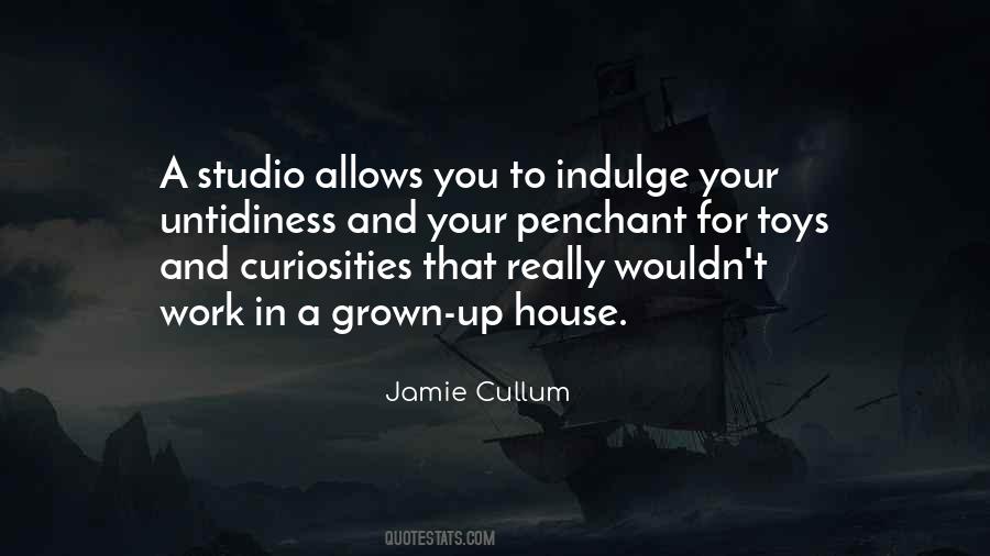 Quotes About Curiosities #715396