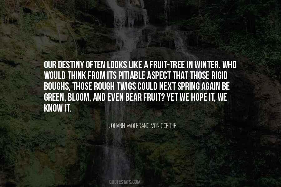 Spring And Winter Quotes #830539