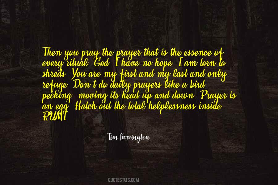 Quotes About Hope And Prayer #149902