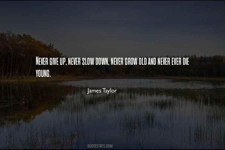 Quotes About Give Up Never #1789529