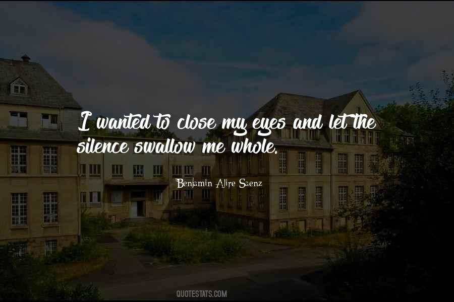 Alire Saenz Quotes #324025