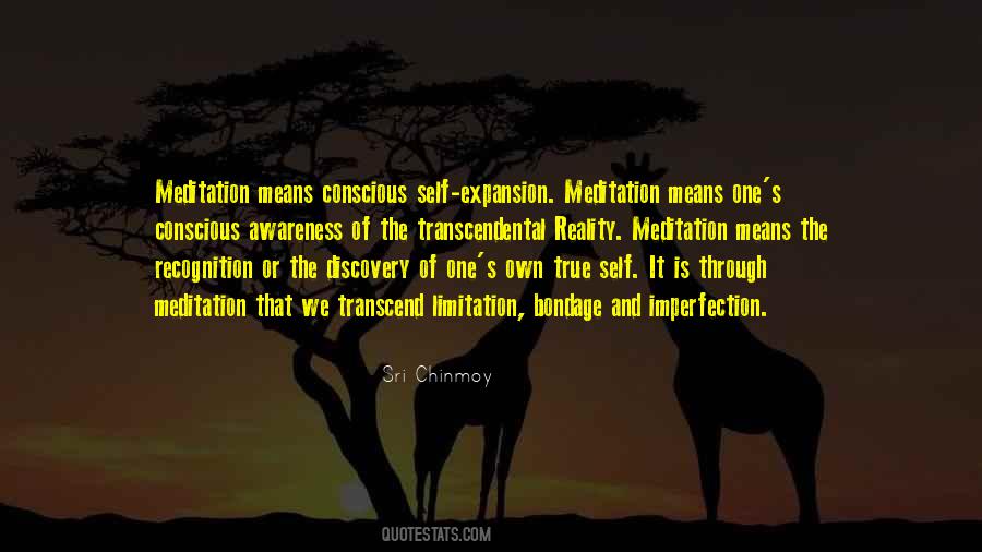 Quotes About Self Meditation #910766