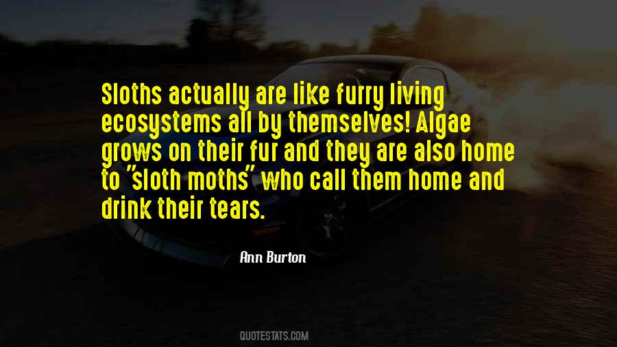 Quotes About Sloths #1089351