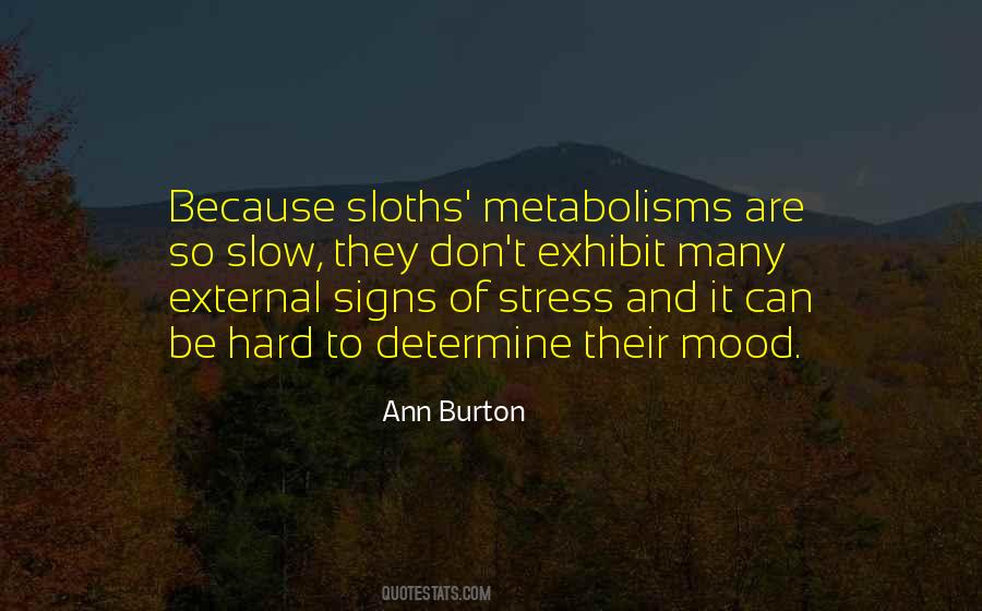 Quotes About Sloths #1760207