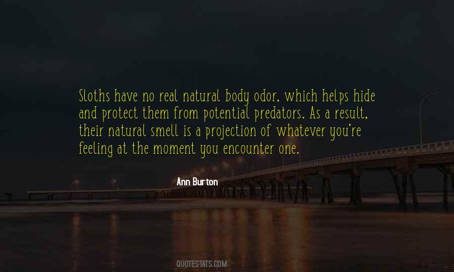 Quotes About Sloths #1870391