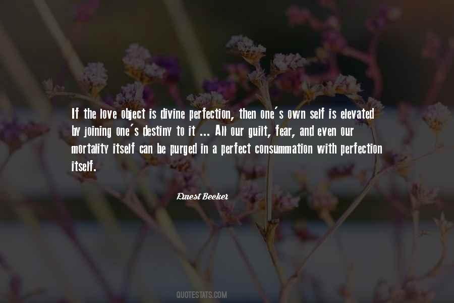 Quotes About Perfection And Love #435454