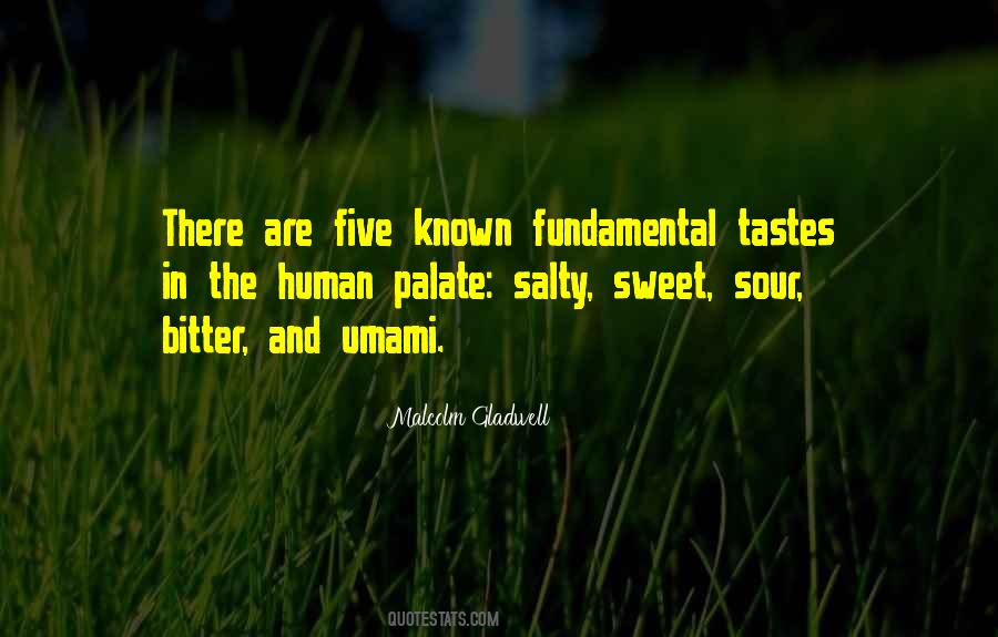 Quotes About Palate #243250