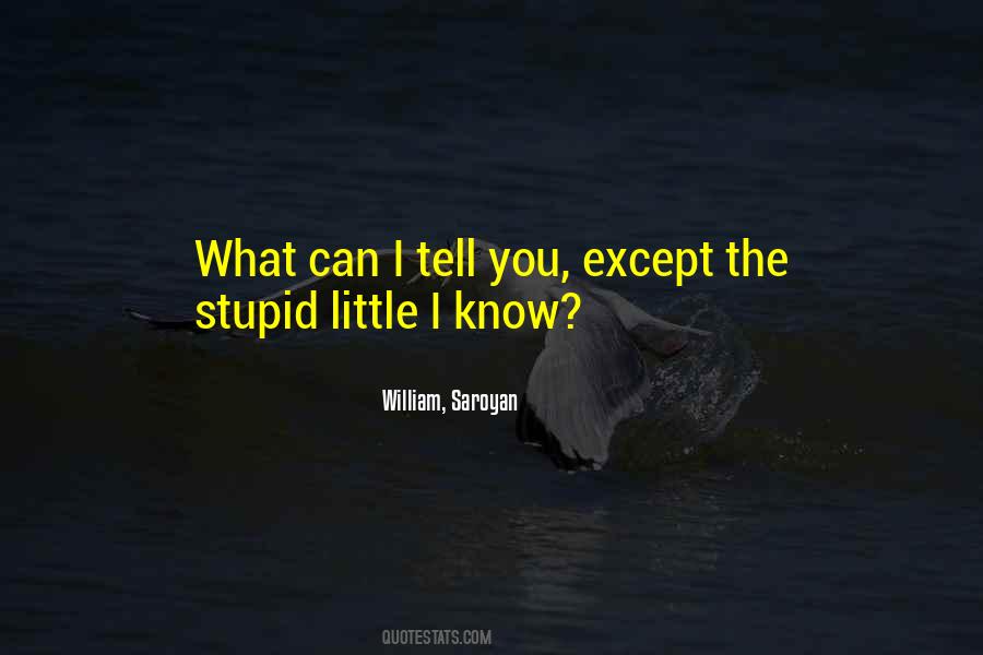 The Stupid Quotes #1878243