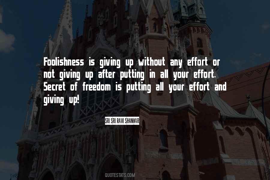 Quotes About Giving Too Much Effort #100784