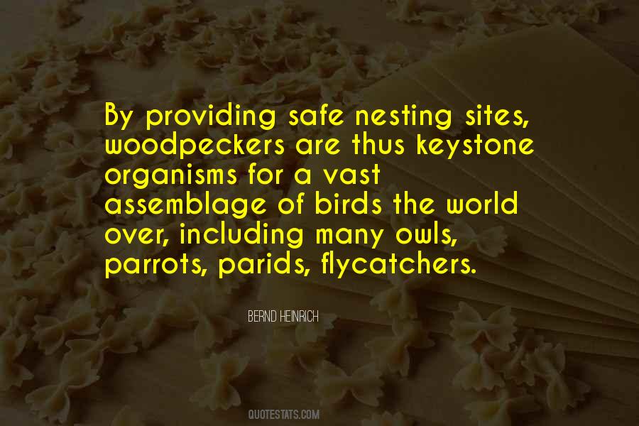 Quotes About Woodpeckers #300799