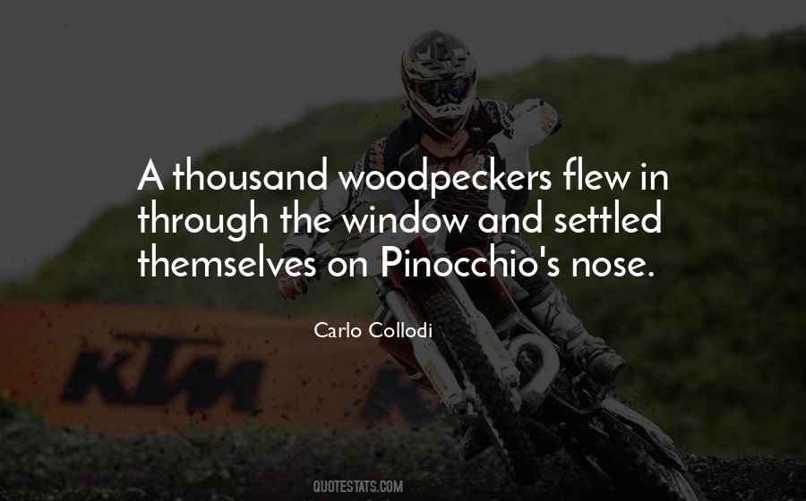 Quotes About Woodpeckers #41688