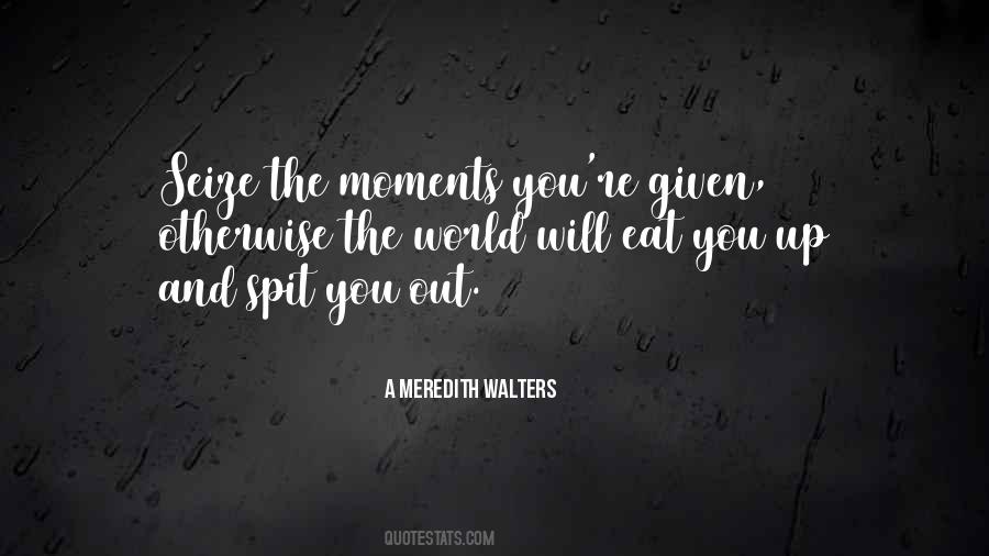 Seize The Moments Quotes #286403