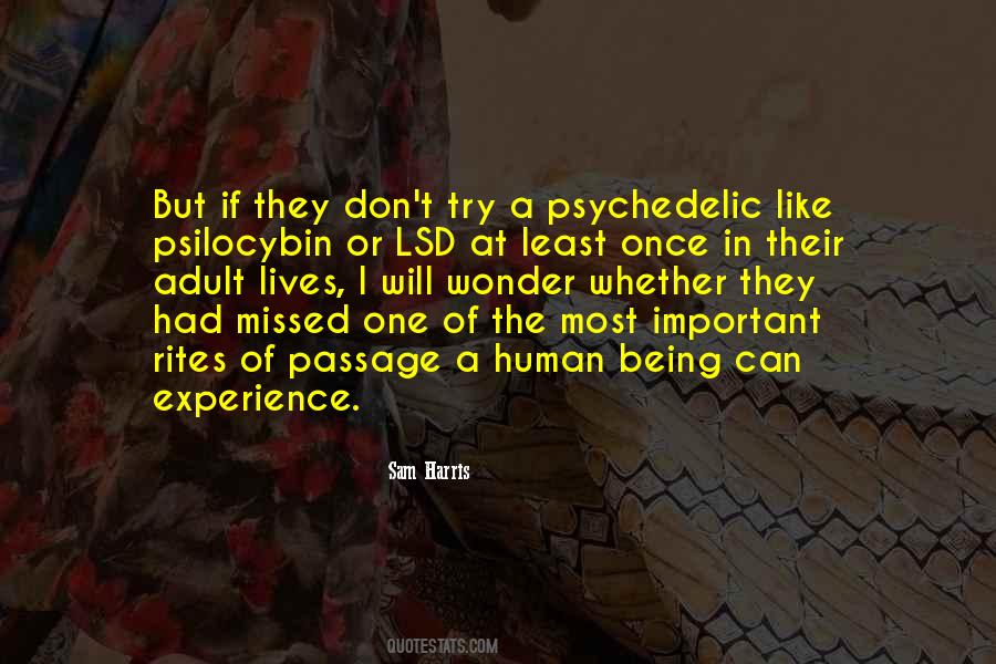 Quotes About Psychedelic Experience #1852001